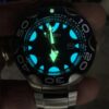 Citizen Orca - Image 2