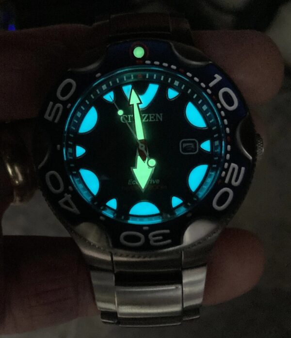 Citizen Orca - Image 2