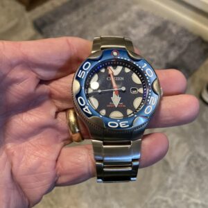Citizen Orca