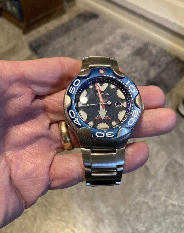 Citizen Orca