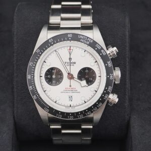 Tudor Black Bay