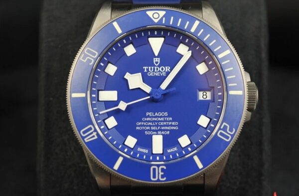 Tudor Pelagos - Image 2