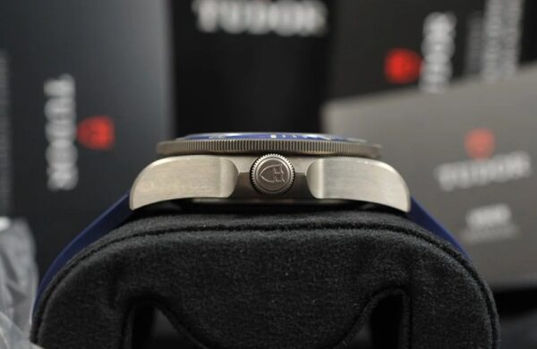 Tudor Pelagos - Image 3