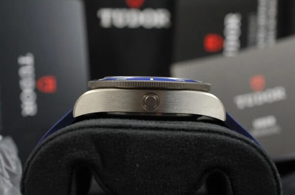 Tudor Pelagos - Image 4