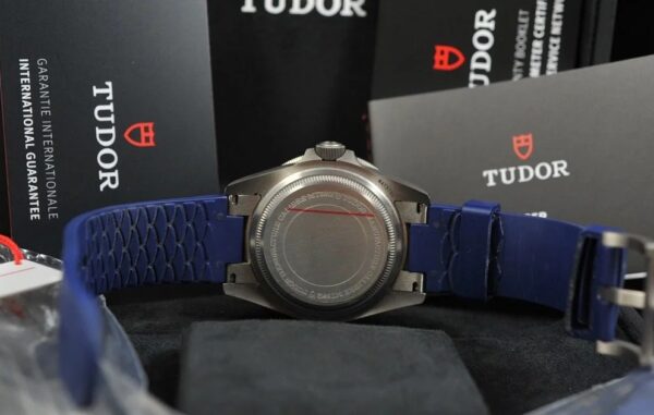 Tudor Pelagos - Image 5